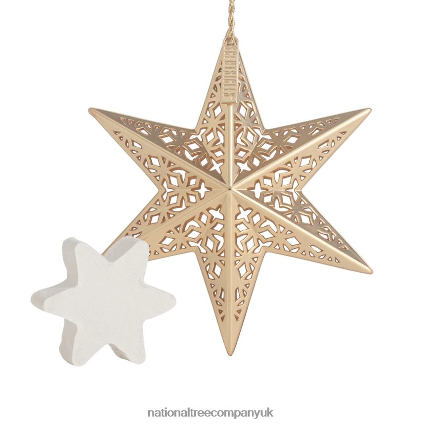 decoration | National Tree Company Scentsicles Decorative Ornament Metal Gold Star White Winter Fir with Refill F2L4F545
